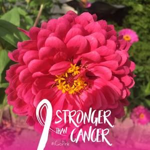 Meet your Posher, Theresa